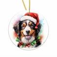 thumbnail image 2 of Personalized Dog Ornament Pet Ornament for Christmas Tree 3 Round Ceramic Printed in USA Choose From 200 Breeds Dog Mom Dog Dad Xmas Decoration D/ Christmas Dog Pendant D, 2 of 6