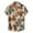 Brown, variant on KDFJPTH Hawaiian Shirts For Men Summer Casual Fashion Floral Printed Short Sleeve Turn-Down Collar Button Fashion Tops Mens Shirts