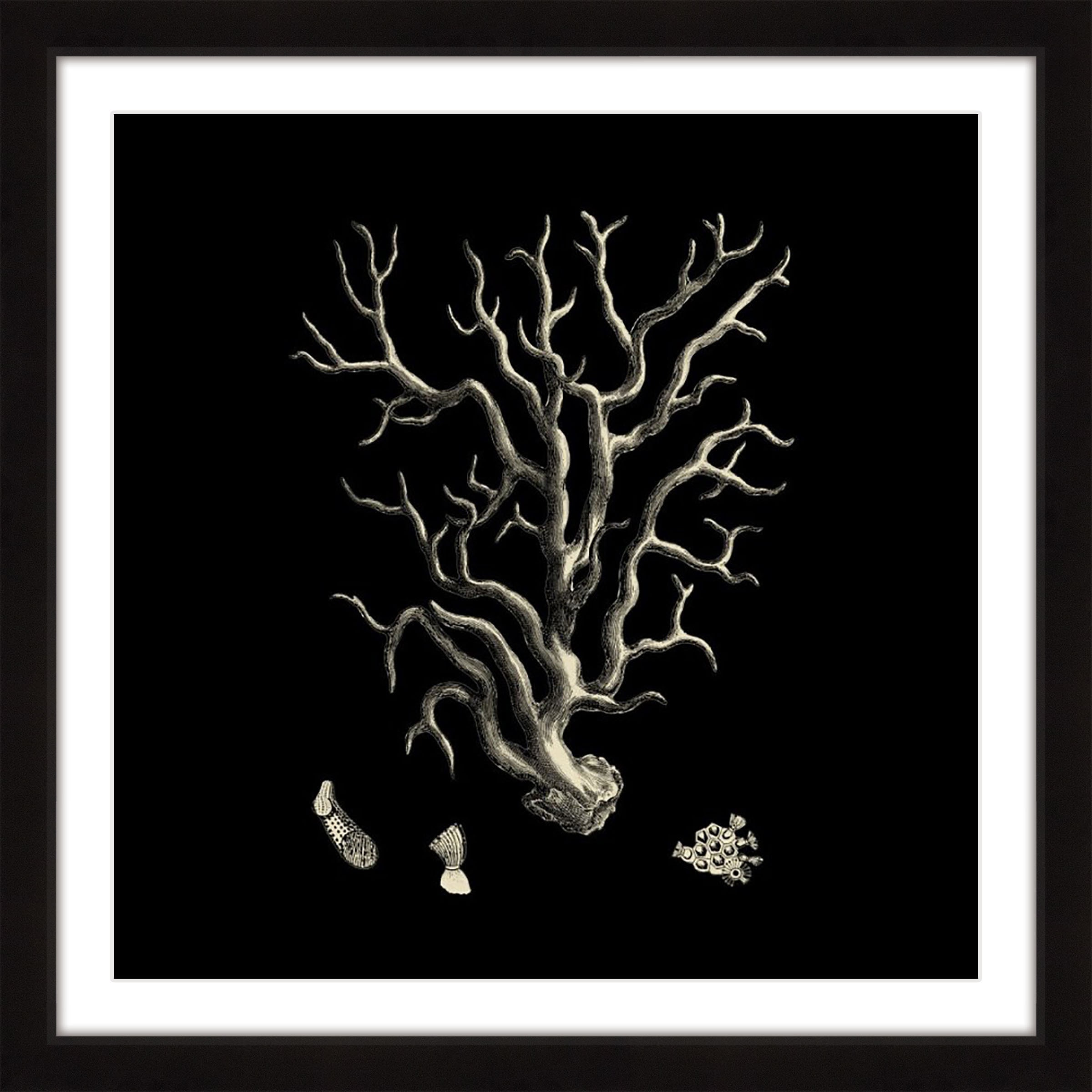 "Black & Tan Coral I" Framed Painting Print