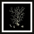 thumbnail image 2 of "Black & Tan Coral I" Framed Painting Print, 2 of 6
