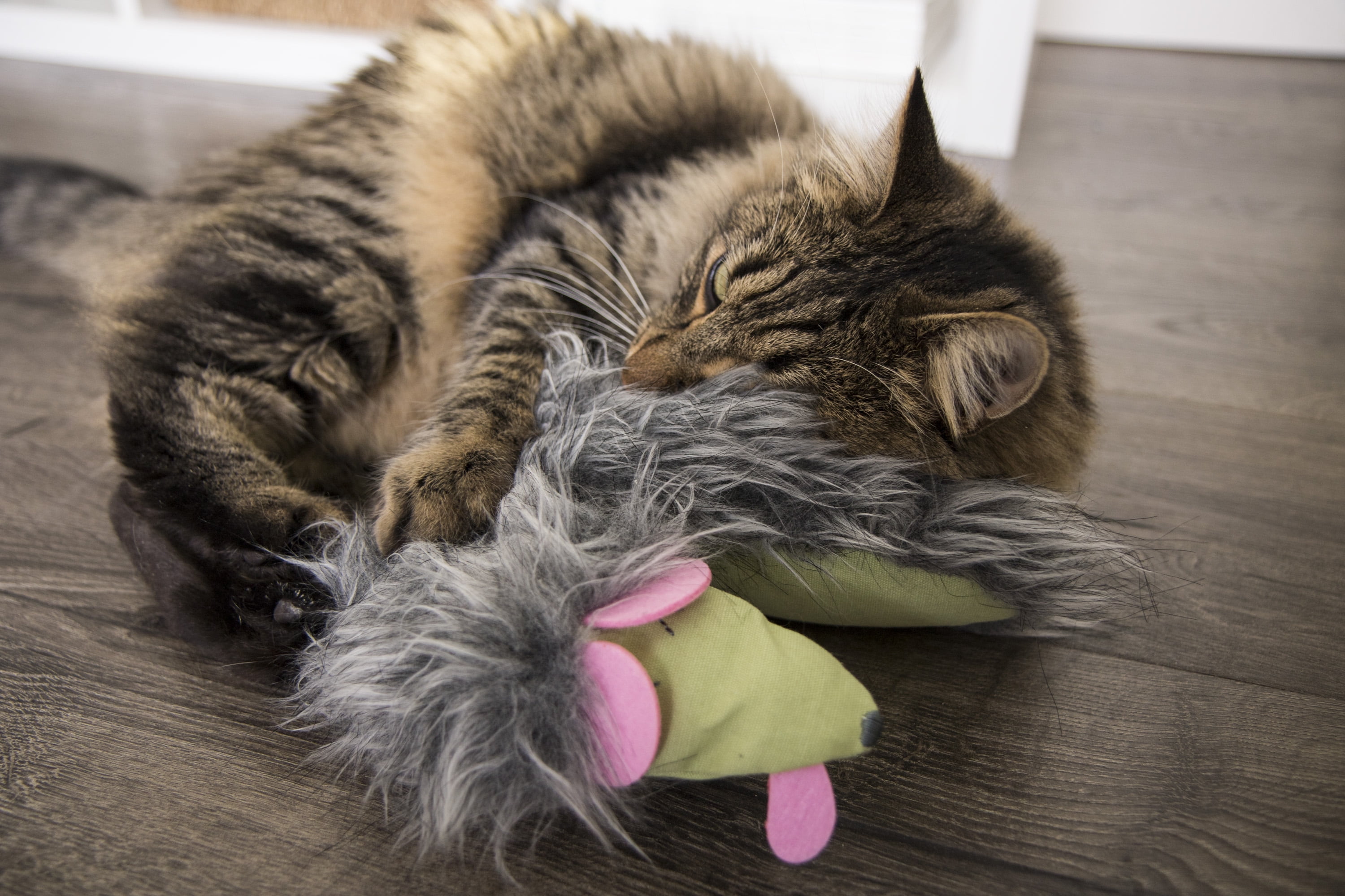 Crinkle Creeper™ Kicker Cat Toy With Catnip-Packed Tail - SmartyKat
