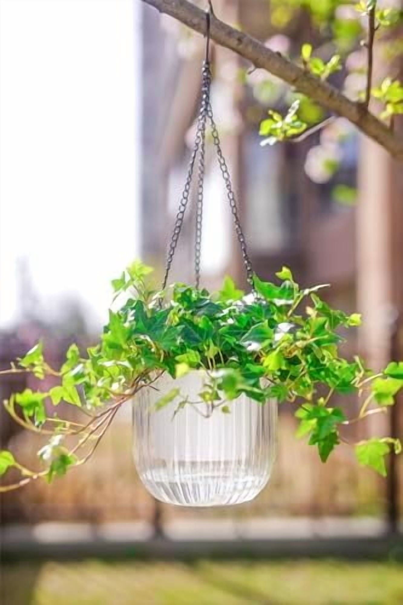 2 Pack Self Watering Hanging Planters Indoor Flower Pots, 6.5 Inch Outdoor Hanging Plant Pot Basket, Plant Hanger with 3Hooks Drainage Holes for Garden Home (Gray + White)