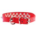 thumbnail image 3 of El nuevo collar para perro de poliuretano de 1 pieza, 3 of 3