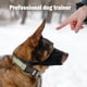 thumbnail image 4 of Bozal para perro, cubierta bucal para perro, antimordeduras, antimal uso para perros, 4 of 8