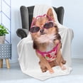 thumbnail image 4 of Chihuahua Soft Flannel Fleece Throw Blanket, Funny Photo of Sitting Tiny Puppy Wearing Summer Clothes and Sunglasses Print, Cozy Plush for Indoor and Outdoor Use, 70" x 90", Multicolor, by Ambesonne, 4 of 5
