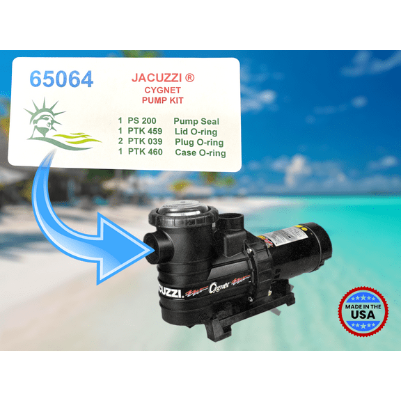 65064.  JACUZZI® CYGNET PUMP