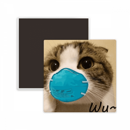

Lovely Cat Wearing Head Expression Square Ceracs Fridge Magnet Keepsake Memento