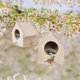 thumbnail image 5 of Nesting Box For Tits, Nesting Box Kit Robin, Bird House, Weatherproof For Hanging, Nesting Boxes For Birds Bird House, 5 of 5