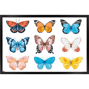 Watercolor Butterflies