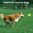 thumbnail image 2 of 12PCS 2-Inch Mini Tennis Balls, Pet Interactive Toys for Small Dogs, Dog Training Balls Fit for Ball Launchers, 2 of 8