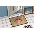 thumbnail image 4 of Carolines Treasures 8812JMAT 24 x 36 In. Strawberry Snapper Indoor or Outdoor Mat, 4 of 4