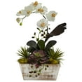 thumbnail image 1 of Orchid & Succulent Garden w/White Wash Planter, 1 of 4