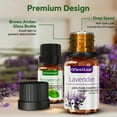 thumbnail image 3 of OrientLeaf Essential Oils Sets, 100% Pure Essential Oil for Diffuser, Aromatherapy, Sleep, Massage & DIY, Gift Sets for Women with Greeting Card, 3 of 10
