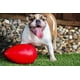 thumbnail image 2 of Juguete para perros Jolly Pets Jolly Egg Rojo 30 cm, 2 of 5
