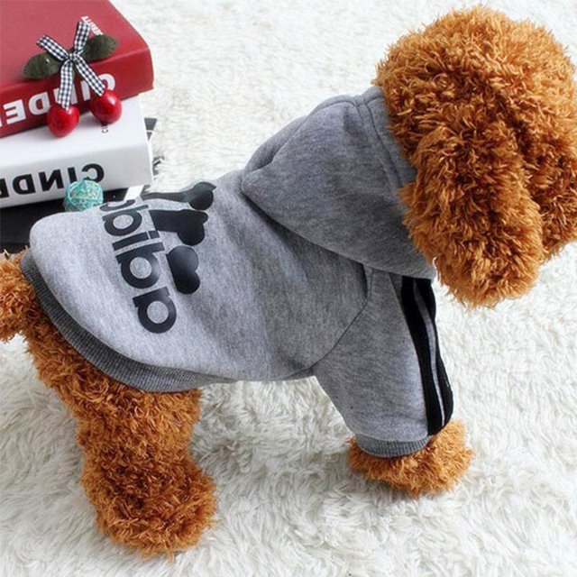 Adidog-ropa para perros pequeños y medianos, sudadera de algodón con capucha, chaqueta cálida de dos patas para mascotas, superventas, 2021