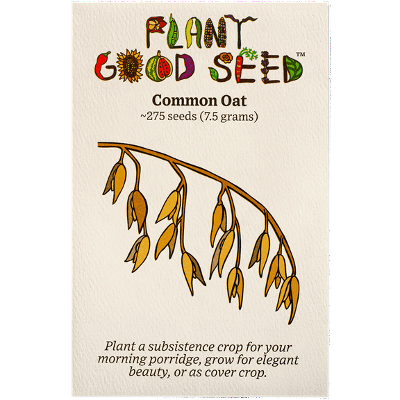 Plant Good Seed Company Common Oat Seeds, High Yielding Grain Grass Seeds, Pack of 275