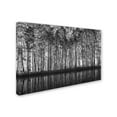 thumbnail image 2 of Roswitha Schleicher Schwarz 'Pointillism Nature' Canvas Art, 2 of 3