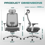 COLAMY ATLAS-01 Ergonomic Office Chair, High Back Office Executive Desk Chair, Mesh Office Chair Lumbar Support with Adjustable Headrest and 4D Arms, Slide Seat, Tilt Lock-Darkgrey