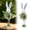 C, variant on Homesteed Easter Bunny Decor Figurines Spring Home Decorations Standing Rabbit Statue for Table Centerpiece Indoor Outdoor Porch Display