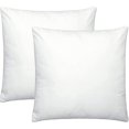 thumbnail image 1 of Housse de Coussin, Ensemble de 2 Housses de Coussin en Velours avec Fermeture Éclair Cachée, Coussin Décoratif Cadeau, 1 of 5
