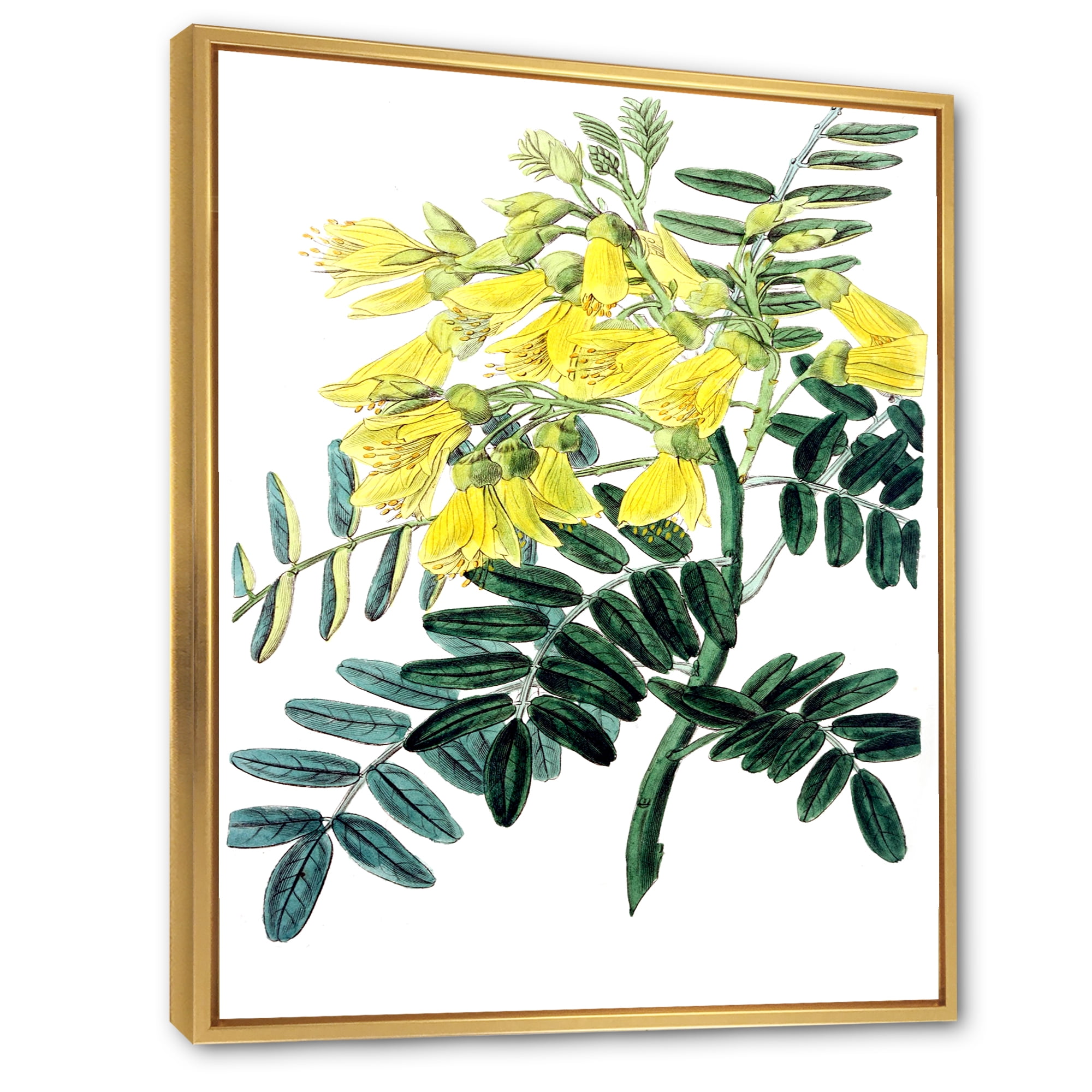 Designart 'Ancient Yellow Flower II' Traditional Framed Canvas Wall Art Print