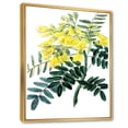 thumbnail image 3 of Designart 'Ancient Yellow Flower II' Traditional Framed Canvas Wall Art Print, 3 of 5