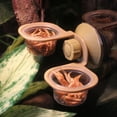thumbnail image 1 of unbranded 2Ud Comedero Colgante Para Reptiles Con Transparente Y Montaje En Pared Para, 1 of 6