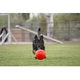 thumbnail image 2 of Jolly Pets Soccer Ball Orange 8 inch Vanilla Scented Rubber Chew Toy for Dogs, 2 of 2