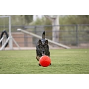 Jolly Pets Soccer Ball Orange 8 inch Vanilla Scented Rubber Chew Toy for Dogs