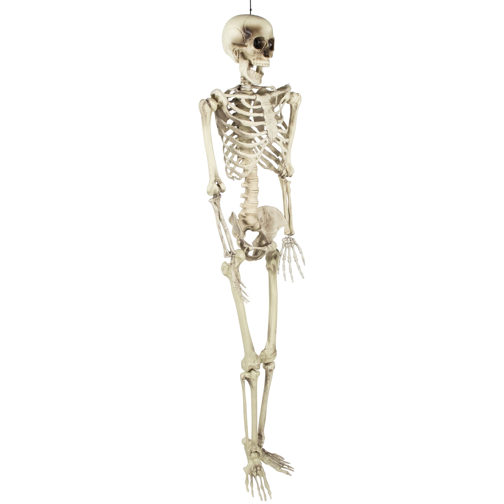 5' Spooky Life Size Skeleton Indoor/Outdoor Halloween Decoration