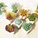 thumbnail image 3 of Gwong Decoración hogareña Flor artificial Planta suculenta Potería Pot Bonsai Inicio Balcón Decoración de escritorio Gwong 21037992, 3 of 7