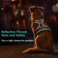 thumbnail image 5 of XL dog safety belt, dog traction safety belt, easy to wear, no need for handle control, reflective dog arnet, breathable, durable, dog safety belt, medium and large, 5 of 5