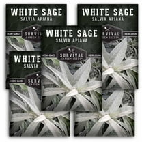 5 Packets White Sage Seed for Planting - Non-GMO Heirloom Full Sun Perennial Herb