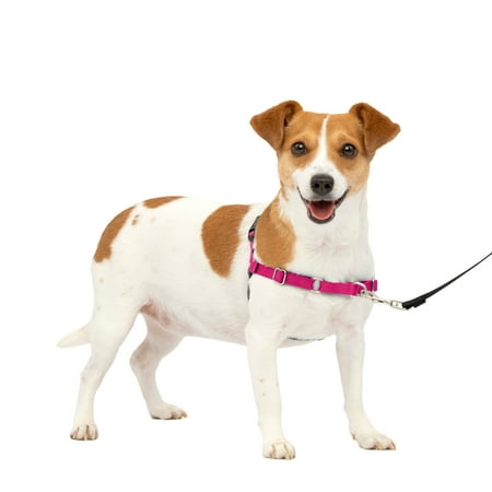 UPC: 0759023095035 | PetSafe Easy Walk No-Pull Dog Harness Perfect for Leash & Harness Training