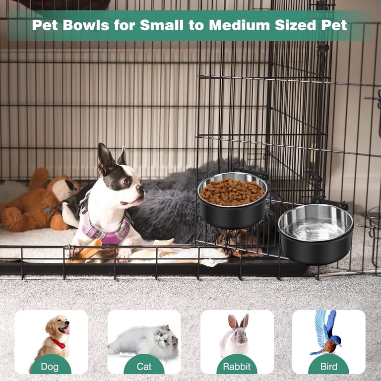 10 ft dog training leash Mighty Paw Training Tab