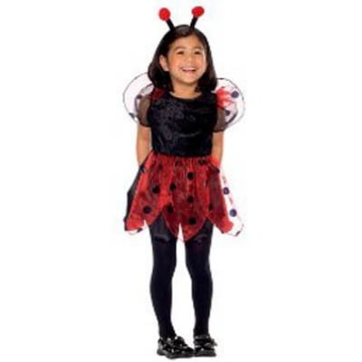 Toddler Girls Ladybug Fairy Costume 18-24 months