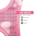 thumbnail image 4 of Reflective Dog Harness and Leash Set Soft Mesh Pet Puppy Cat Comfort Padded Vest No Pull Harnesses, 4 of 8