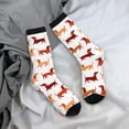 thumbnail image 5 of KLL Dachshund Walking Print Cool Socks Men's Women's Crew Socks Funny Crazy Novelty Stockings, 5 of 6