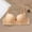 Black, variant on Women's Lace T-Shirt Bras Push Up Full Coverage Soft Everyday Bras for Office Wear Adjustable Straps Wireless Lightly Lined Bra 44B