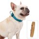 thumbnail image 3 of Bienvenido Collares de cuero para cachorros, collares ajustables para perros grandes, medianos y pequeños, collar multicolor para mascotas, 3 of 5