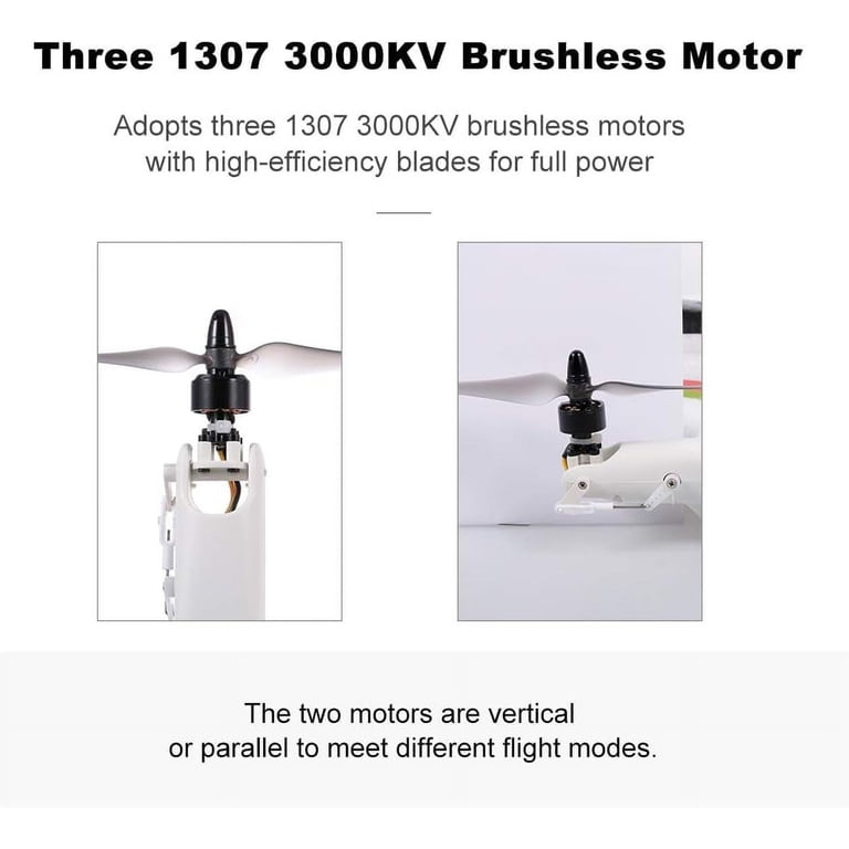 Bruce&Shark RC Airplane WLtoys XK X450, 2.4G Remote Control Plane
