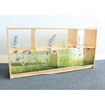 thumbnail image 3 of Whitney Brothers Birch Plywood Nature View Acrylic Back Cabinet WB0247, 3 of 5