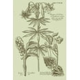 thumbnail image 2 of Vision Studio 11x14 Gold Ornate Wood Framed with Double Matting Museum Art Print Titled - Garden of Flora IV, 2 of 4
