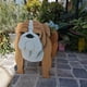 thumbnail image 1 of Perros de dibujos animados Maceta PVC Animal Maceta Planta suculenta Maceta Adorno de jardín (G) Ehuebsd Libre de BPA, 1 of 9