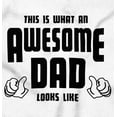 thumbnail image 2 of This is What Awesome Dads Look Like Men's Big & Tall Graphic Hoodie Brisco Brands 5X, 2 of 5