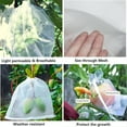 thumbnail image 4 of Nylon Insect Proof Mesh Bag for Plant Protection, 10-Pack Garden Netting with Drawstring for Pest and Bird Control, 4 of 7