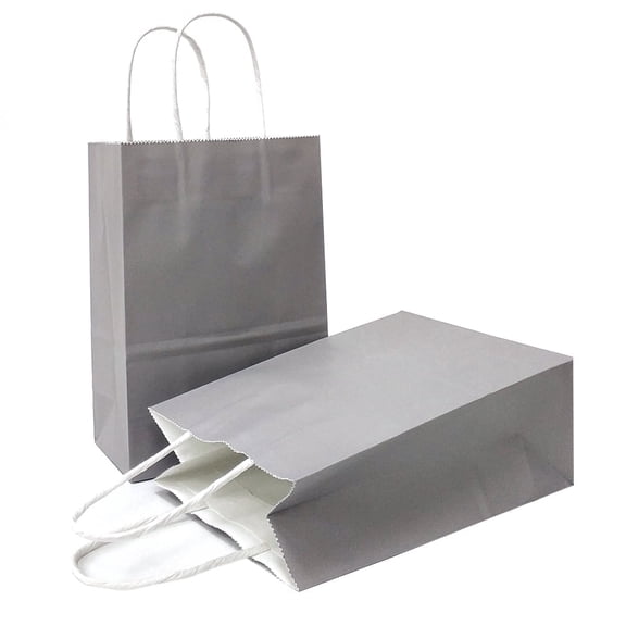AZOWA Gift Bags Mini Small Kraft Paper Bags with Handles (4 x 2.4 x 6 in, Grey, 12 Pcs)
