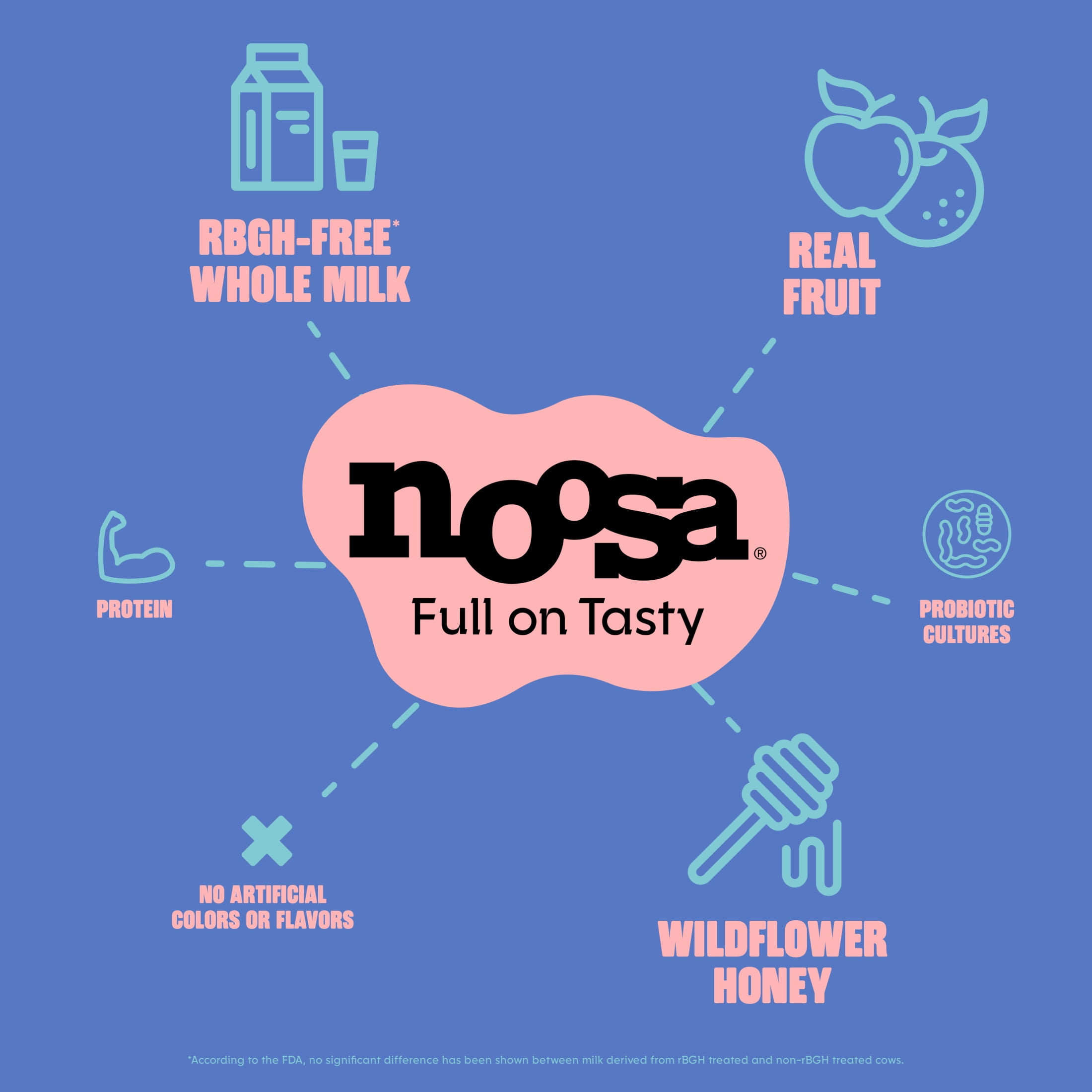 Noosa Yoghurt, Whole Milk Yogurt, Velvety Smooth & Creamy, Blueberry, 4 oz, Pack of 4