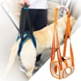 thumbnail image 3 of Arnés de elevación para Perros jinwen L, 3 of 8