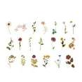 thumbnail image 1 of CAROOTU Sticker Scrapbooking Supplies Beautiful Adhesive Decorative Sticker For Gift Packaging Notebooks, 1 of 7